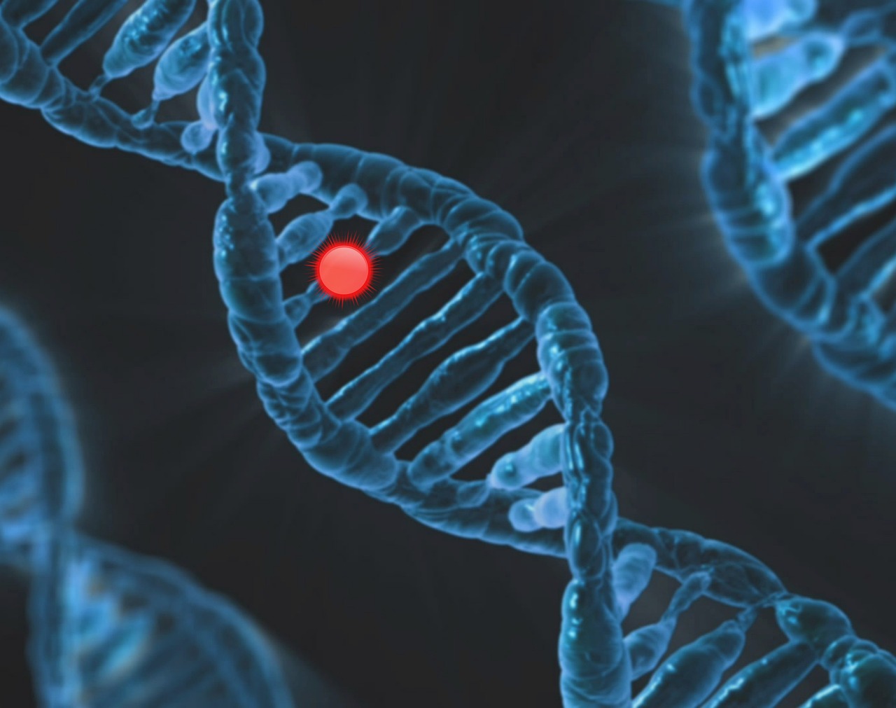 Mutazione Genetica Articolo Medicina 4